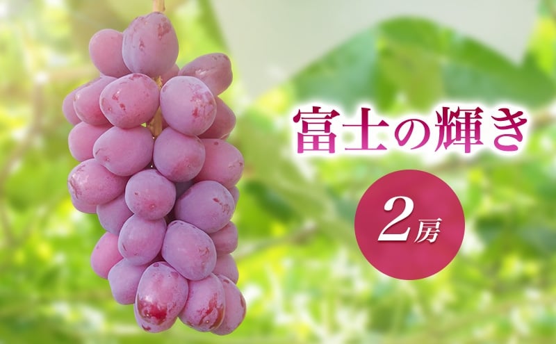 
            2026年産富士の輝き２房　 種なし 果物 ぶどう 葡萄 マスカット フルーツ 長野県 駒ケ根市 [№5659-1703]
          