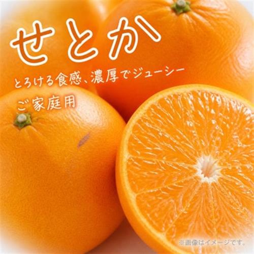 【ご家庭用訳あり】紀州和歌山産　せとか　約5kg【1291843】