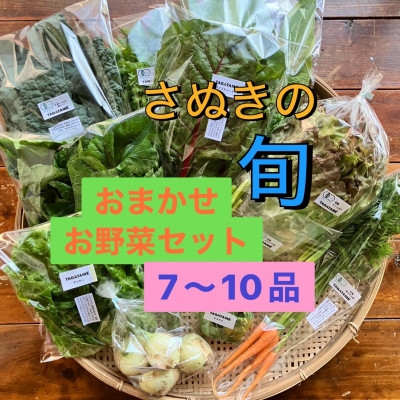 
                  旬を楽しむTAGATAMEのおまかせお野菜セット(7～10品)【1632093】
                