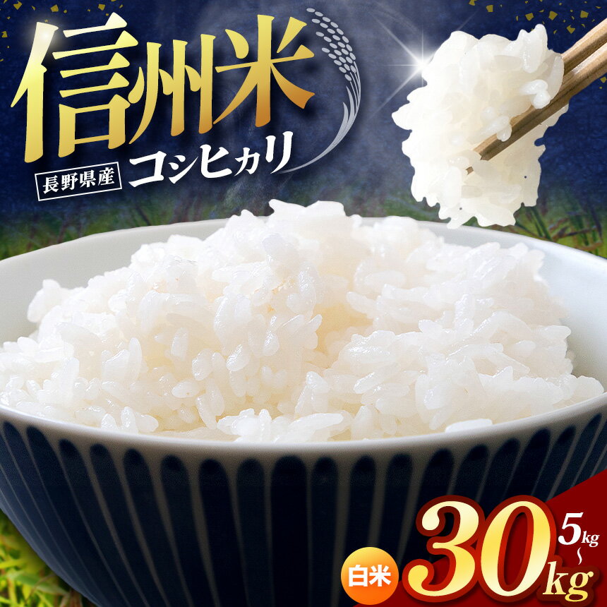 【ふるさと納税】 祝！★米・雑穀ランキング入賞★ 令和7年産 信州米 白米 こしひかり 選べる 5kg～30kg 長野県産 | 令和7年産 米 コシヒカリ 白米 精米 コメ お米 おこめ 信州米 | 5kg 10kg 15kg 20kg 25kg 30kg 塩尻市 長野県 信州