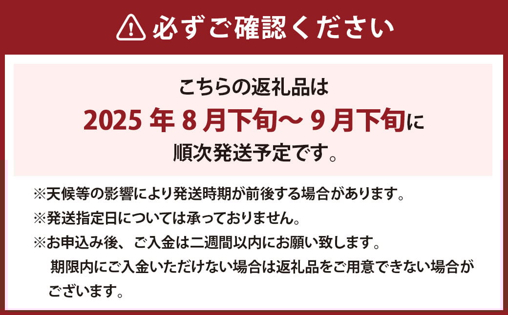 《種なし》 岡山県産 クイーンニーナ 1房（約600g） 【2025年8月下旬～2025年9月下旬発送予定】 ／ ぶどう ブドウ 葡萄 大粒 種なし 種無し フルーツ 果物 くだもの 果実