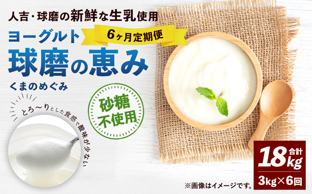 
            【6ヶ月定期便】 球磨の恵み ヨーグルト (砂糖不使用) 合計 18kg (1kg×3パック)×6回 乳製品 生乳 朝食 おやつ 相良村
          