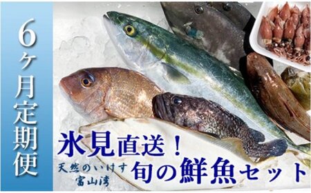 天然のいけす 富山湾 氷見漁港直送！ 旬の鮮魚セット 定期便6ヶ月連続お届け 鮮魚詰め合わせ 旬の鮮魚 定期便 新鮮魚介 セット 全6回定期便 氷見漁港より直送 海鮮 鮮魚セット 魚介 旬の海鮮 定期便 富山湾鮮魚 定期便