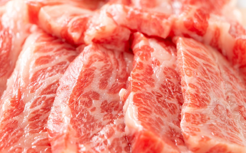 【6か月定期便】訳あり！艶さし！【A4～A5】佐賀牛焼肉切り落とし(肩ロース・バラ) 1kg(500g×2P)×6回【肉 牛肉 ブランド牛 黒毛和牛 ふるさと納税】(H112242)