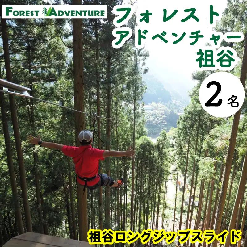 フォレストアドベンチャー 祖谷 ロングジップスライド 2名 チケット 観光【観光】