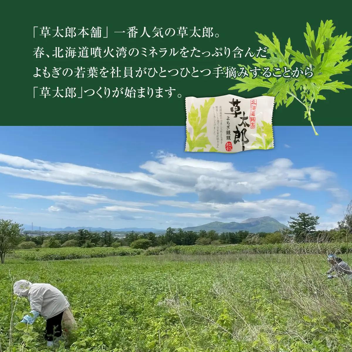 草太郎（まんじゅう）15個入 MROAF011