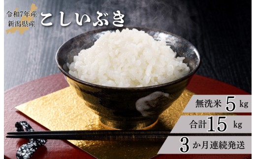【3か月定期便】R7年産 新潟県産 こしいぶき 5kg （無洗米） 米 お米 白米 おすすめ 人気 こめ コメ 新潟 見附市 見附 7年 2025年産 ふるさと納税