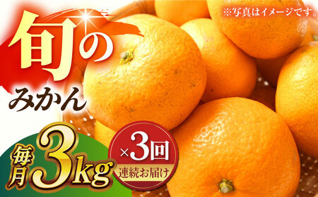 【先行予約】【数量限定】【3回定期便】家庭用 みかん 約3kg 詰め合わせ 柑橘【合同会社 社方園】[ZBZ022]
