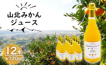 山北みかんジュース720ml12本 果汁100％ 高知県産 【みかんジュース フルーツ みかんジュース くだもの みかんジュース 飲料 みかんジュース 高評価 みかんジュース 人気 みかんジュース おすすめ】 yk-0012