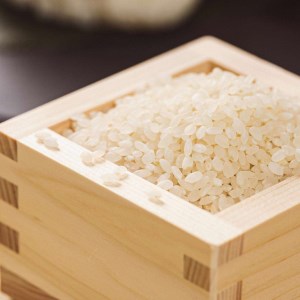 茨城県下妻市産虹のきらめき玄米10kg 〈茨城県共通返礼品・下妻市〉※着日指定不可_DN03