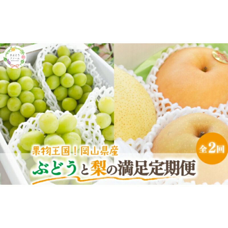 【ふるさと納税】 【2026年先行予約】シャインマスカットと梨詰め合わせ2-3種が届く！ぶどうと梨の満足定期便(岡山県産) 【2026年9月以降より発送予定】【KF-T054-03】/ 果物 くだもの フルーツ 甘い 詰め合わせ 定期便 希少品種 数量限定