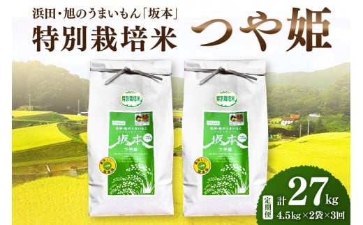 【定期便】【令和6年産】浜田・旭のうまいもん「坂本」特別栽培米つや姫　4.5kg×2袋×3回 【1032】