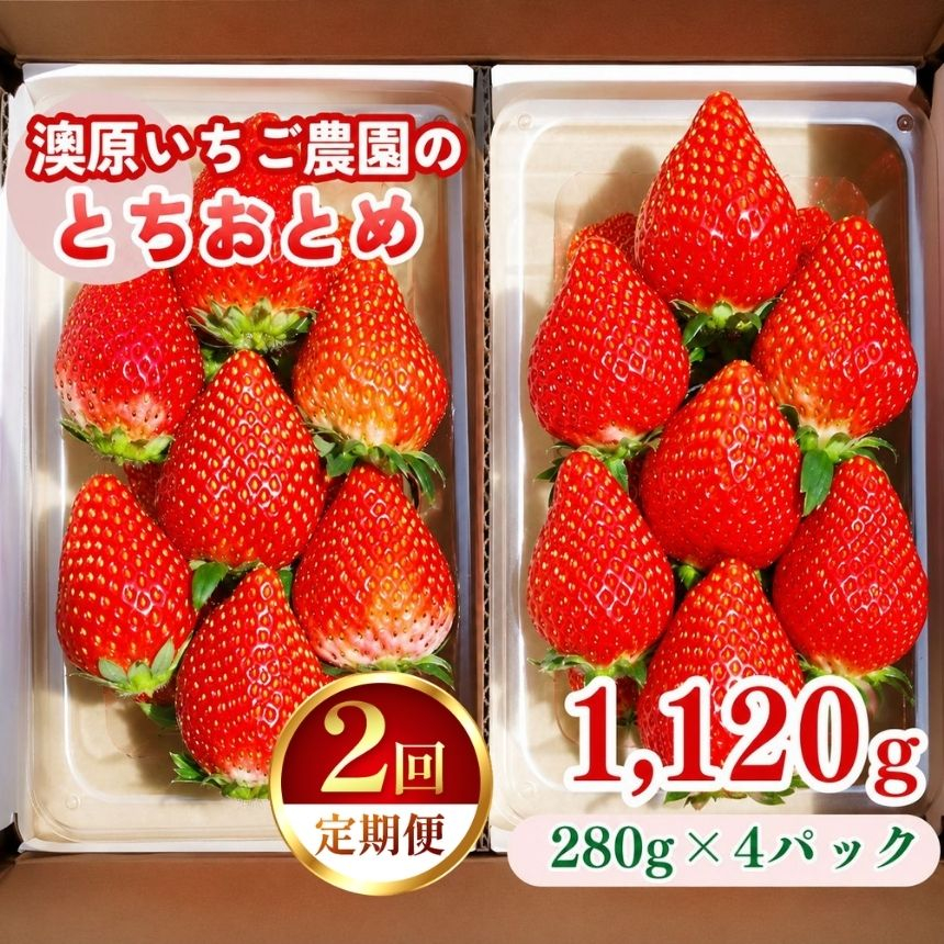 【定期便2回】栃木のいちご！元祖 「とちおとめ」 1,120g (280g×4P)| 澳原いちご農園 栃木県 矢板市 【定期便2回】とちおとめ4P｜20000円