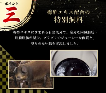 【希少すさみブランド豚】すさみ豚 切り落とし 2.5㎏ (ウデ・モモ切り落とし500g×5パック)/貴重 ブランド豚 小分け スライス お得 大容量 万能 炒め物 焼肉 しゃぶしゃぶ 生姜焼き 冷しゃ