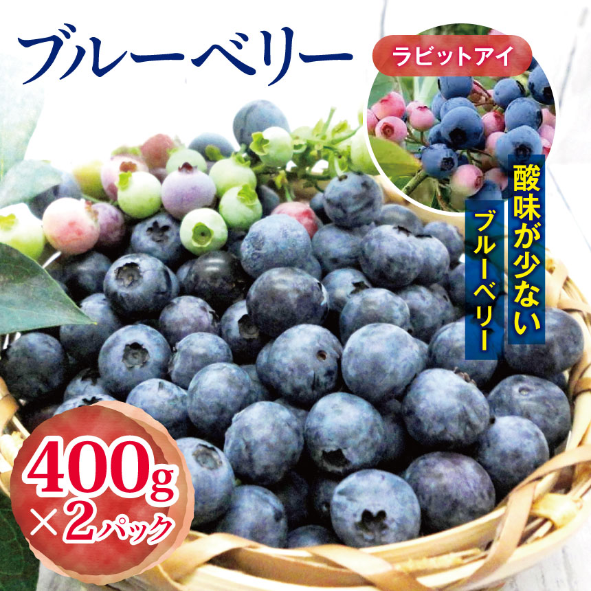 【ふるさと納税】【先行予約】 農家直送 ブルーべリー ( ラビットアイ ) 400g × 2パック 観光農園ジジの山 | ジジの山 送料無料 フルーツ 果物 くだもの ブルーベリー ぶるーべりー 千葉県 君津市 きみつ
