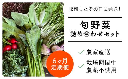 【6ヶ月 定期便】農家直送！【栽培期間中農薬不使用】季節の新鮮野菜「９品」詰め合わせセット オーガニックファーム AIBA FARM TML003 / 野菜セット 無農薬 野菜 千葉県 富里市 直送野