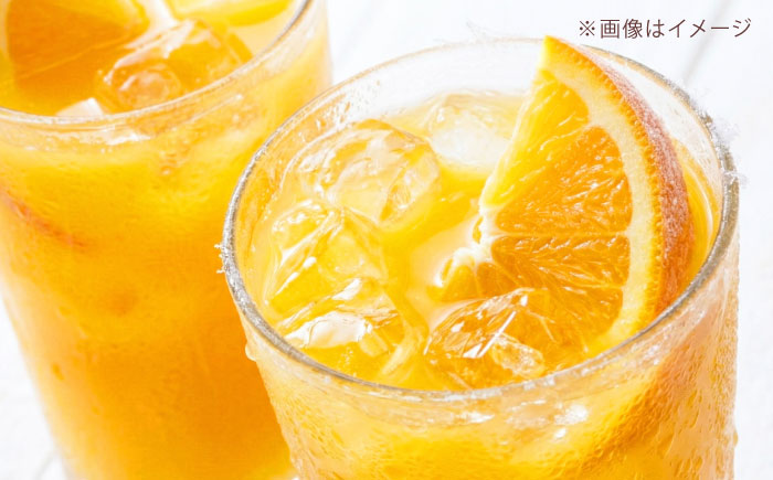 リキュール 果実系リキュール 呑み比べ 4本セット / お酒 果実酒セット 詰め合わせ 飲み比べセット リキュール / 愛媛県砥部町/愛媛県酒造協同組合 [BJAV001]