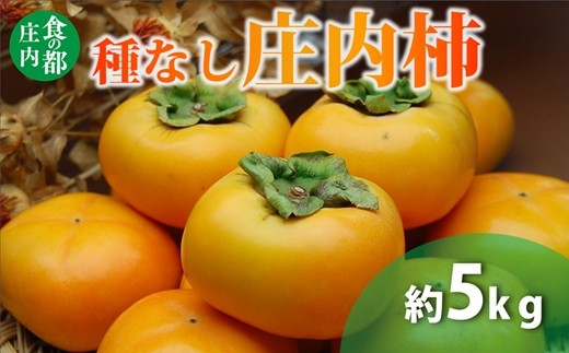 
                  食の都庄内　種なし庄内柿約5kg　※令和8年10月下旬頃より順次配送予定
                