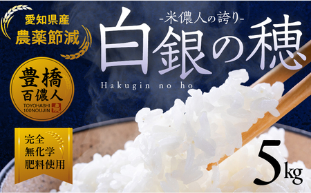 令和8年産 白銀の穂 5kg お米 お米