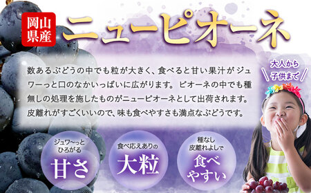 ぶどう ニューピオーネ 選べる 約 490g 1房  株式会社藍《9月上旬-10月下旬頃出荷》 岡山県 浅口市 岡山県産 ぶどう フルーツ 果物 くだもの ピオーネ 送料無料 【配送不可地域あり】 s