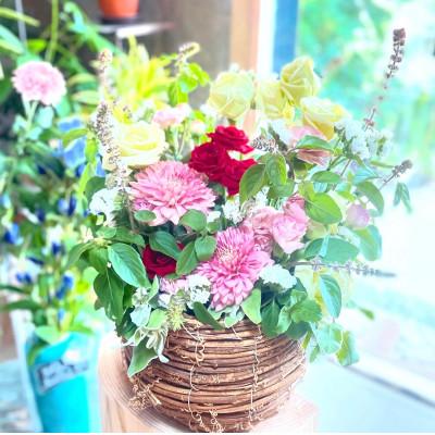 ふるさと納税 大刀洗町 【毎月定期便】和む花かご全12回 |  | 03