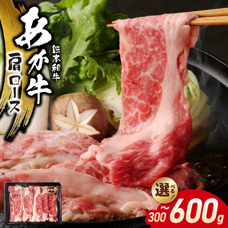 【ふるさと納税】オアシス九州 熊本県産 あか牛 肩ロース 選べる 内容量 300g ～ 600g 赤身 濃縮 豊かな旨味 柔らかい 和牛 牛肉 肉 国産 肉汁 溢れ出す 肉本来 旨味 濃厚 甘み 冷凍 お取り寄せ お取り寄せグルメ 送料無料【熊本県 宇土市】
