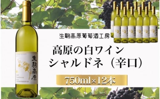 【高原の白ワイン】シャルドネ（辛口）　1ダース