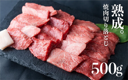 「山勇牛」焼肉用ミックス500g 牛肉 和牛 飛騨牛 肉［D0025］