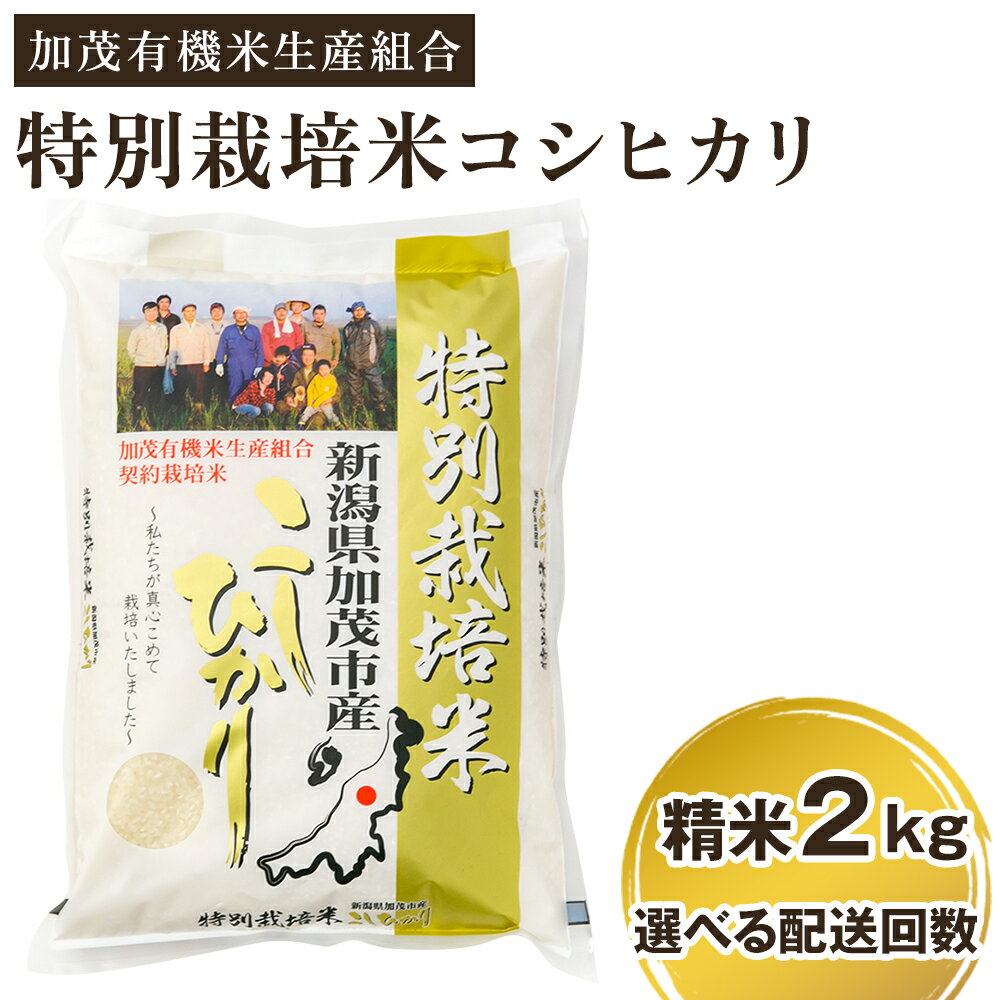 【ふるさと納税】【令和7年産新米先行予約】 新潟県加茂市産 特別栽培米コシヒカリ 精米2kg 選べる配送回数（通常配送1回〜定期便12回） 《10月中旬から順次出荷》 白米 従来品種コシヒカリ 加茂有機米生産組合