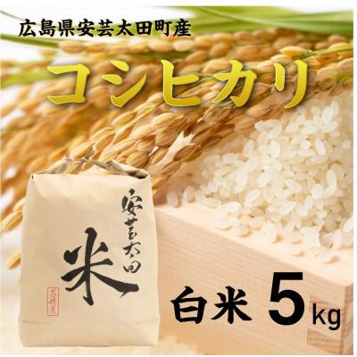 ふるさと納税 安芸太田町 【令和8年産】コシヒカリ　白米5kg
