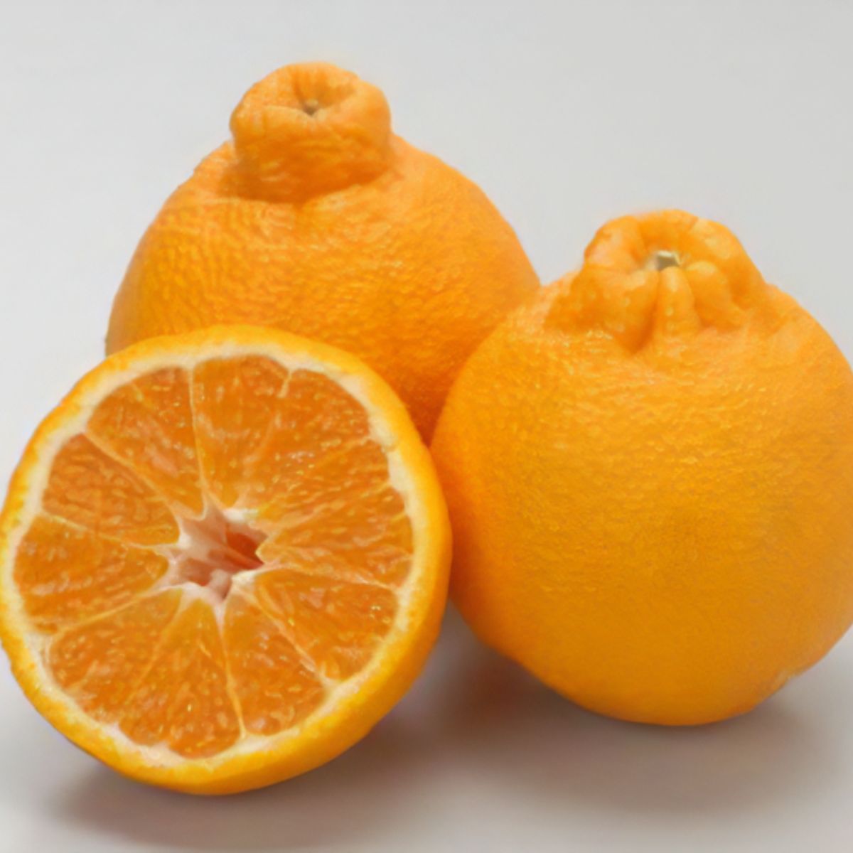 【ふるさと納税】【先行予約】不知火 生果 選べる 2.5kg ～ 5kg ※離島への配送不可（2026年2月上旬より順次発送予定）【 ふるさと納税 人気 おすすめ ランキング 柑橘 みかん ミカン 不知火 しらぬい 蜜柑 果物 生果 フルーツ 愛媛県産 愛媛県 伊方町 送料無料 】 IKTBD010