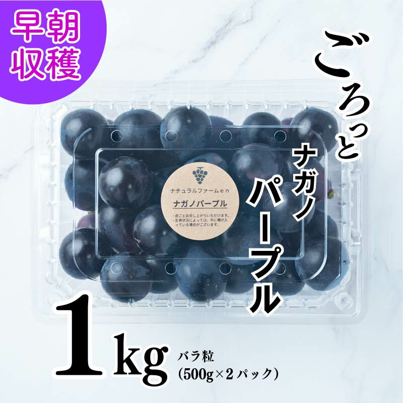 【ふるさと納税】 【2025収穫分先行予約】 ぶどう ナガノパープル 1kg バラ粒 500g 2パック 小分け 新着 人気 予約 フルーツ くだもの マスカット ぶどう 早朝 収穫 朝採れ ギフト 贈答 ※8/10頃～発送予定 ナチュラルファームen
