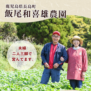 【12月中旬以降発送】〈数量限定〉和喜雄さんといつみさんのはちみつ芋(計3kg)【飯尾和喜雄農園】iio-7086