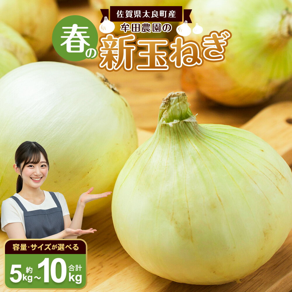 【ふるさと納税】牟田農園の春の新玉ねぎ （5kg （S） ／ 5kg （S～L） ／ 5kg （2L） ／ 10kg （M~2L）） ＜選べる種類＞ 【2026年4月上旬～6月上旬迄順次発送予定】 たまねぎ タマネギ 野菜 新玉ねぎ 玉ねぎ 佐賀県 太良町 農家直送 送料無料