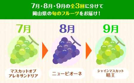 【2027年先行予約】【3回定期便】岡山のぶどう定期便 シャインマスカット ニューピオーネ マスカット【配送不可地域あり】
