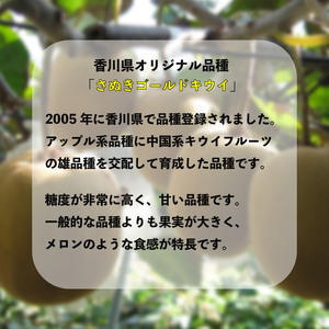 【先行予約】キウイ さぬきゴールドキウイ 約3kg