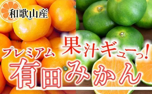［先行予約］プレミアム 有田みかん2.5kg+250g（傷み補償分）［2026年10月初旬から2026年1月末日頃順次発送予定］［IKE251］