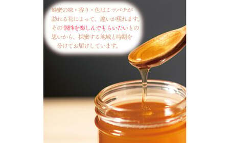 はちみつ 500g (250g×2個) 国産 蜂蜜 はちみつ