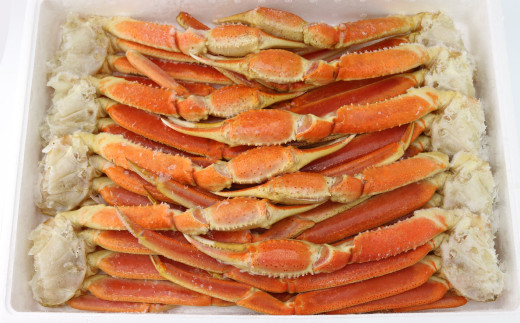 
                  ボイルずわい蟹 3kg（4Lサイズ  7～9肩）「かに鍋・かにしゃぶ・海鮮BBQにオススメ」かに カニ ずわい蟹 足 脚 ボイル しゃぶしゃぶ 鍋 海鮮 BBQ バーベキュー 冷凍
                