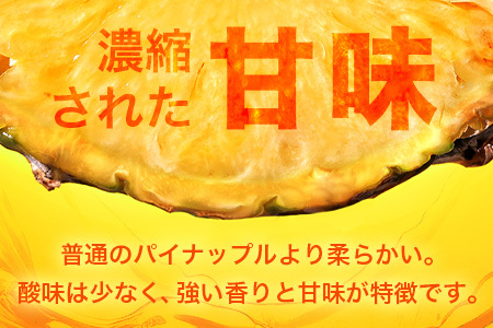 【予約受付】ポコットパイン1ｋｇ（1～2玉）お勧め♪川平パイン《2025年5月～7月頃順次発送》KN-3
