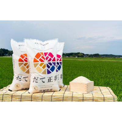 ふるさと納税 角田市 令和7年産　だて正夢　5kg×1袋 |  | 01