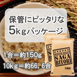 CI308_【玄米】さがびより１０㎏（５㎏×２袋）【五つ星お米マイスター厳選！】