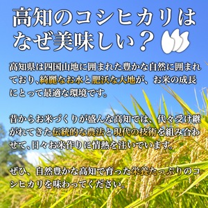 【 先行 予約 】米 こしひかり 5kg 厳選 食味鑑定士 白米 ごはん お米 産地直送 コシヒカリ 高知県産 須崎市 NPO012-3x