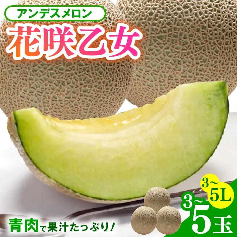 【先行予約】アンデスメロン 花咲乙女 3～5玉入 3～5L 《甘くまろやか！青肉で果汁たっぷり》／ 期間限定 果物 フルーツ 産地直送 ※2027年6月下旬より順次発送 [aw003-a008]