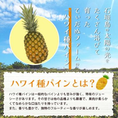 ふるさと納税 石垣市 【先行受付】《2026年7月上旬頃より順次発送》石垣島産 ハワイ種パイン 3〜4玉セット約4.2kg |  | 02