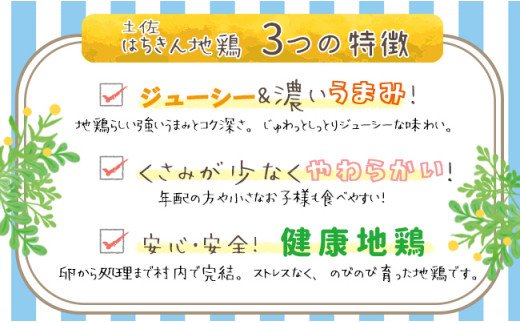 【大川村と芸西村の共通返礼品】はちきん地鶏まるごと一羽おためしセット約1kg＆土佐鴨鴨鍋セット 4〜5人用