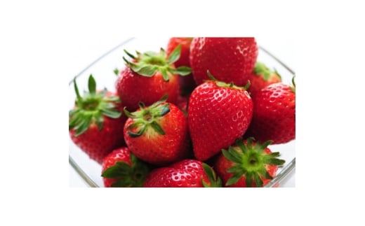 栃木のいちご食べ比べ!「2品種組み合わせ!」セット(260g×2パック)【1642095】