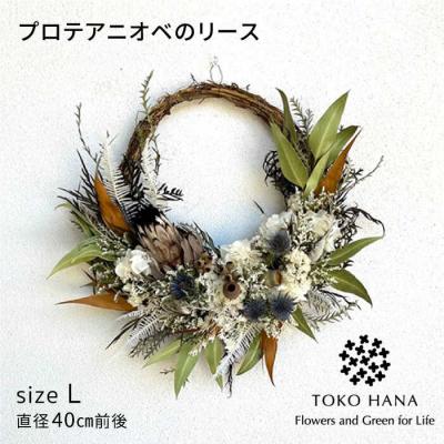 ふるさと納税 糸島市 プロテアニオベのリース(Lサイズ)糸島市/tokohana ドライフラワー アレンジ[AOC033] | 