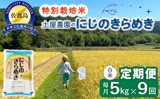 【9か月定期便 にじのきらめき】佐渡島産にじのきらめき 白米 合計45kg（5kg×毎月お届け全9回）令和8年産 新米 特別栽培米 | 新潟県産にじのきらめき 新潟産にじのきらめき 佐渡産にじのきらめき にじきら 虹のきらめき お米 米 白米 精米 ブランド米 おこめ コメ 5キロ 大粒 にいがた さど 新潟県 佐渡市