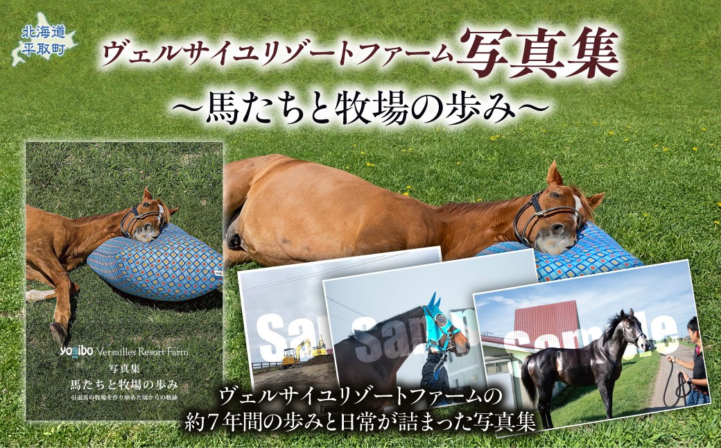 
                  【ヴェルサイユリゾートファーム】写真集〜馬たちと牧場の歩み〜 【ふるさと納税 人気 おすすめ ランキング 馬 競馬 競走馬 引退馬 本 ヴェルサイユリゾートファーム 写真集  日高 北海道 平取町 送料無料】 BRTV482
                